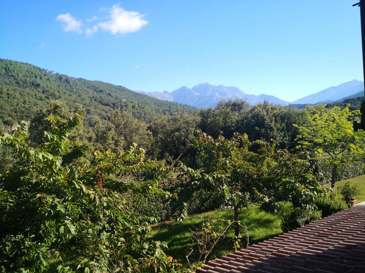 Bed and Breakfast L'Ogliastru Ucciani Екстер'єр фото